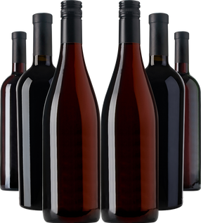 Wynns Icon Collection 2026